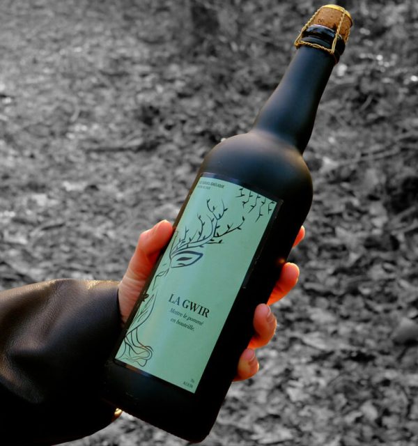 Une main tient la bouteille de bière artisanale La Gwir de la microbrasserie Le Gouel Gaélique, bière blonde au pommé.